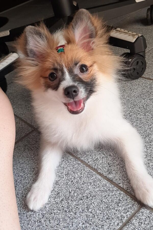 Clientes Satisfeitos _ mandioca_13.11.21 Clientes Satisfeitos _ mandioca_13.11.21