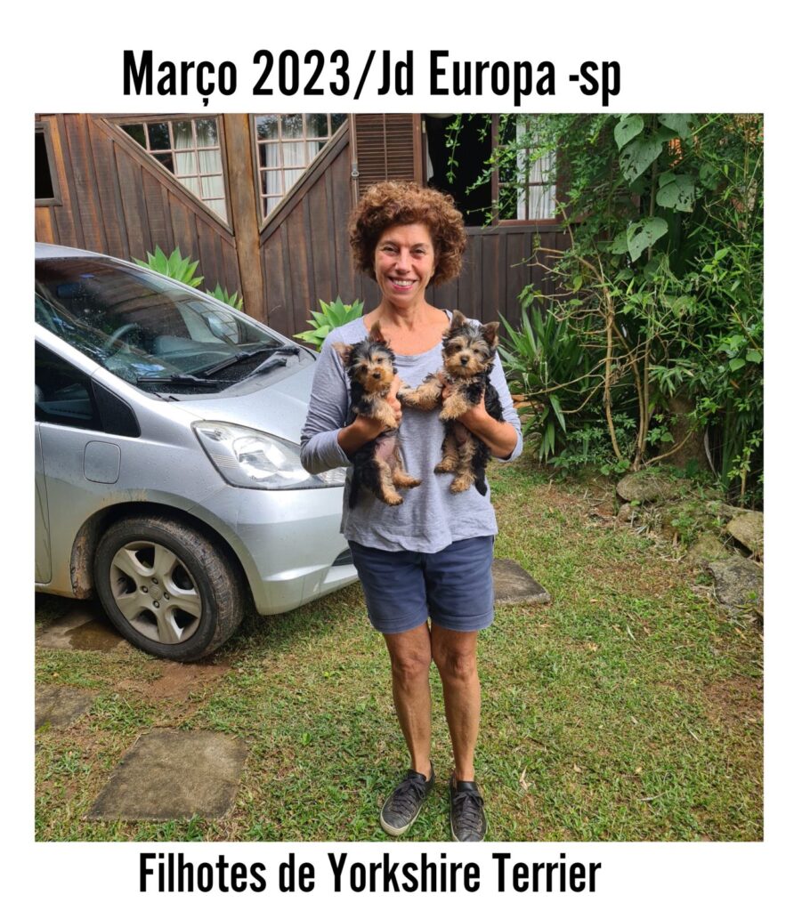 Cliente Satisfeito de Yorkshire Terrier_03.23_São Paulo