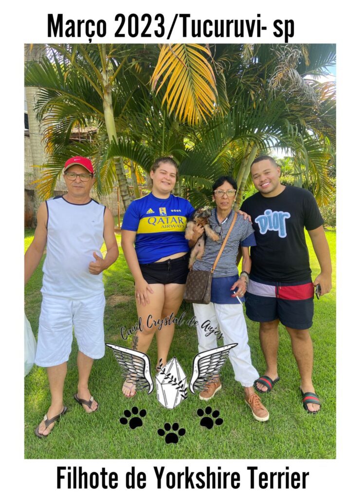 Cliente Satisfeito de Yorkshire Terrier_03.23_São Paulo_1