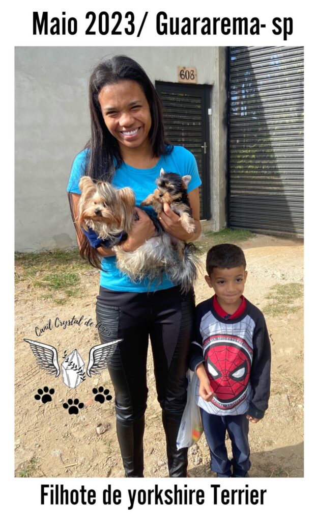 Cliente Satisfeito de Yorkshire Terrier_05.23_Guararema