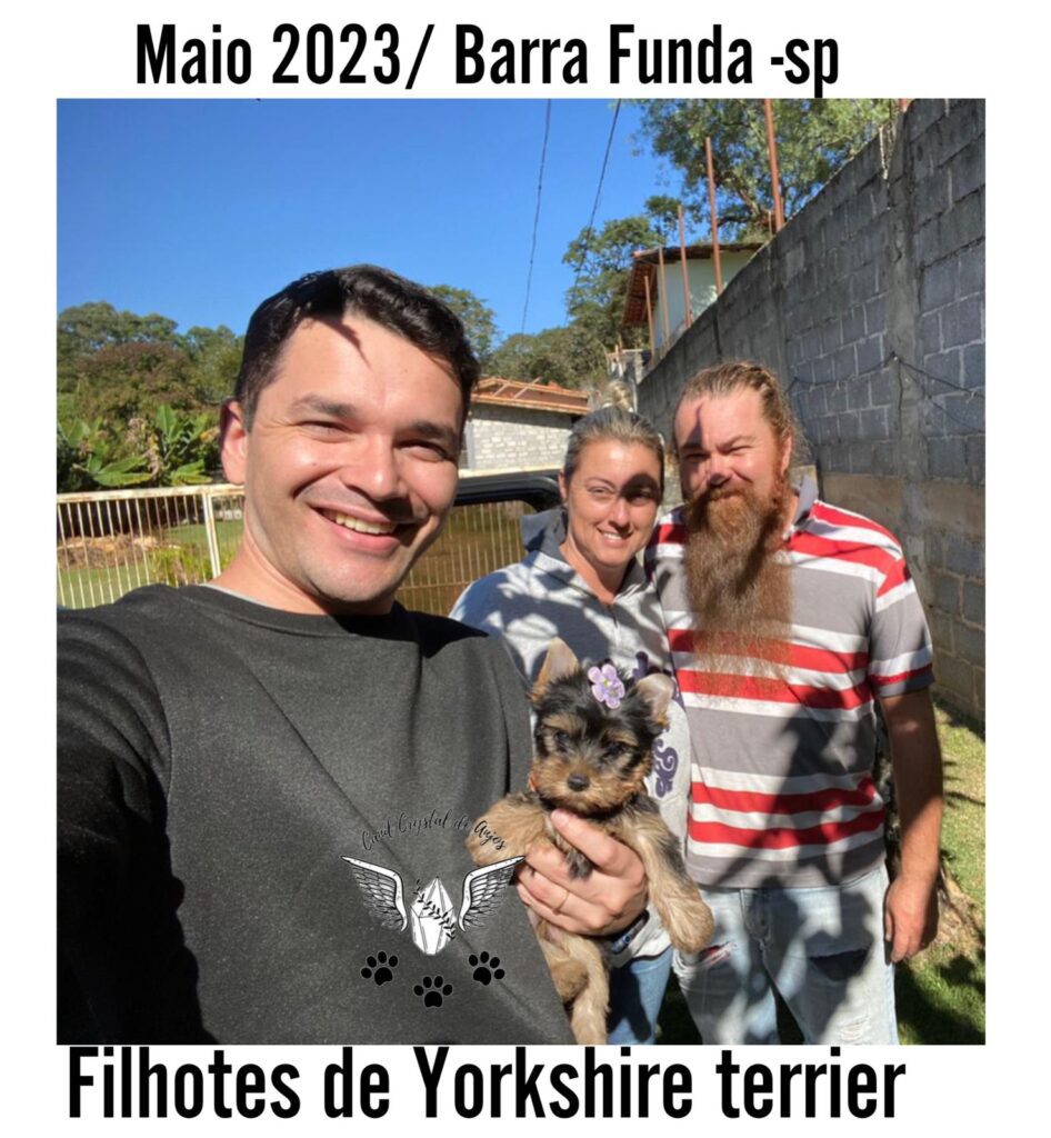 Cliente Satisfeito de Yorkshire Terrier_05.23_São Paulo_1