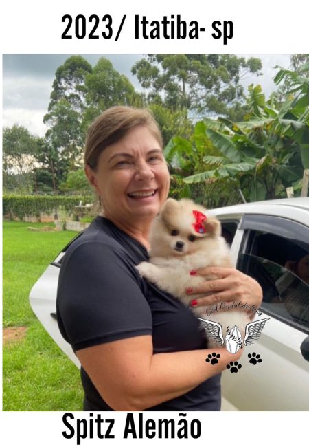 Cliente Satisfeito de Spitz Alemão_02.23_Itatiba Cliente Satisfeito de Spitz Alemão_02.23_Itatiba