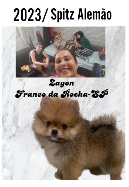 Cliente Satisfeito de Spitz Alemão_02.23_Franco da Rocha Cliente Satisfeito de Spitz Alemão_02.23_Franco da Rocha